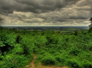 Horizon HDR